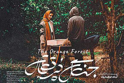 «جنگل پرتقالی» که دیدنی است