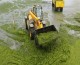 Scientists report breakthrough in seaweed biofuel