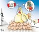 مرغ ها هم از سياست هاي اعمال شده بر بازار و گراني تعجب مي‌كنند!