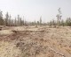شهرداری داراب شامگاه چهارشنبه به طور غیر قانونی و مخفیانه در منطقه بسیار وسیعی از تنها پارک جنگلی داراب۳۵۰ اصله درخت سبز را قطع کرد.