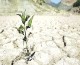 از جیره‌بندی تا هشدار درباره خشکسالی و قحطی