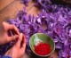 تولید زعفران ایران به نصف رسید!